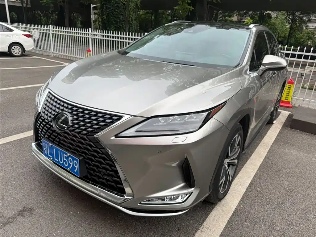 Lexus RX 2020 300 4WD Elegance Edition China VI