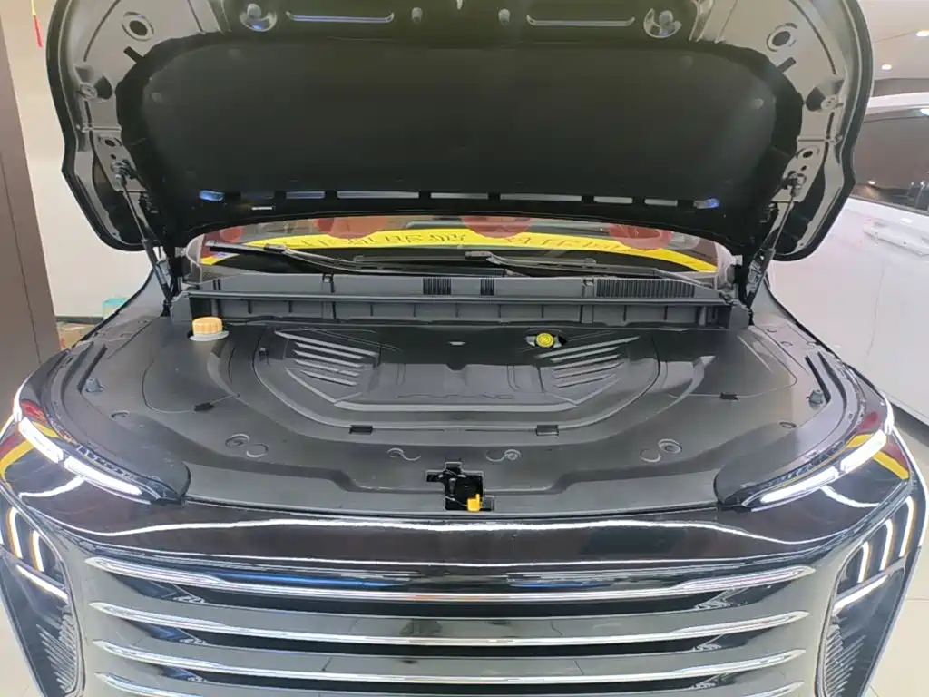 Dongfeng Fengxing Starlight V9 2025 2026 Beyond Joy Series 200km Luxury