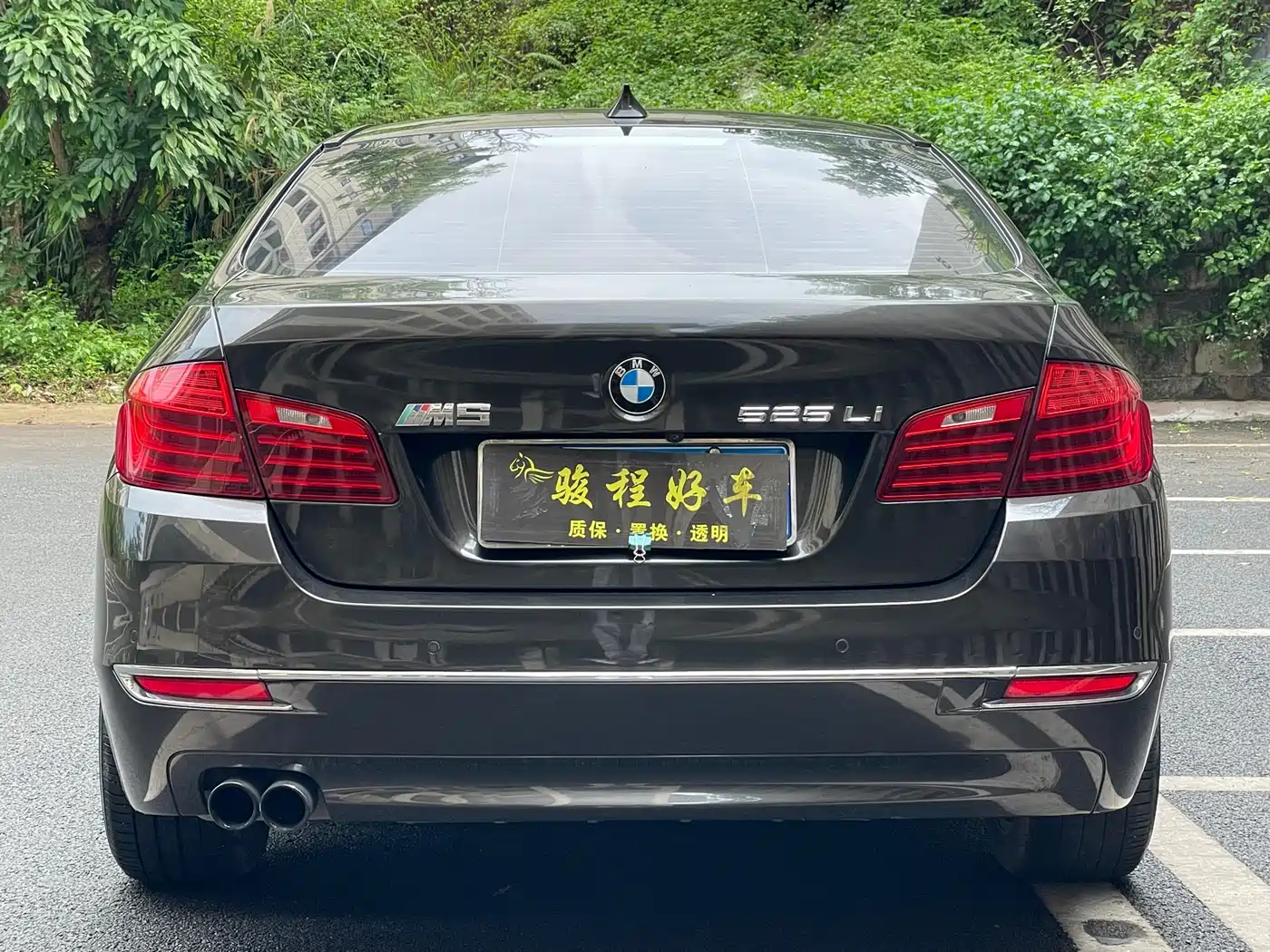 BMW 5 Series 2014 525Li Luxury Design Package фото 6