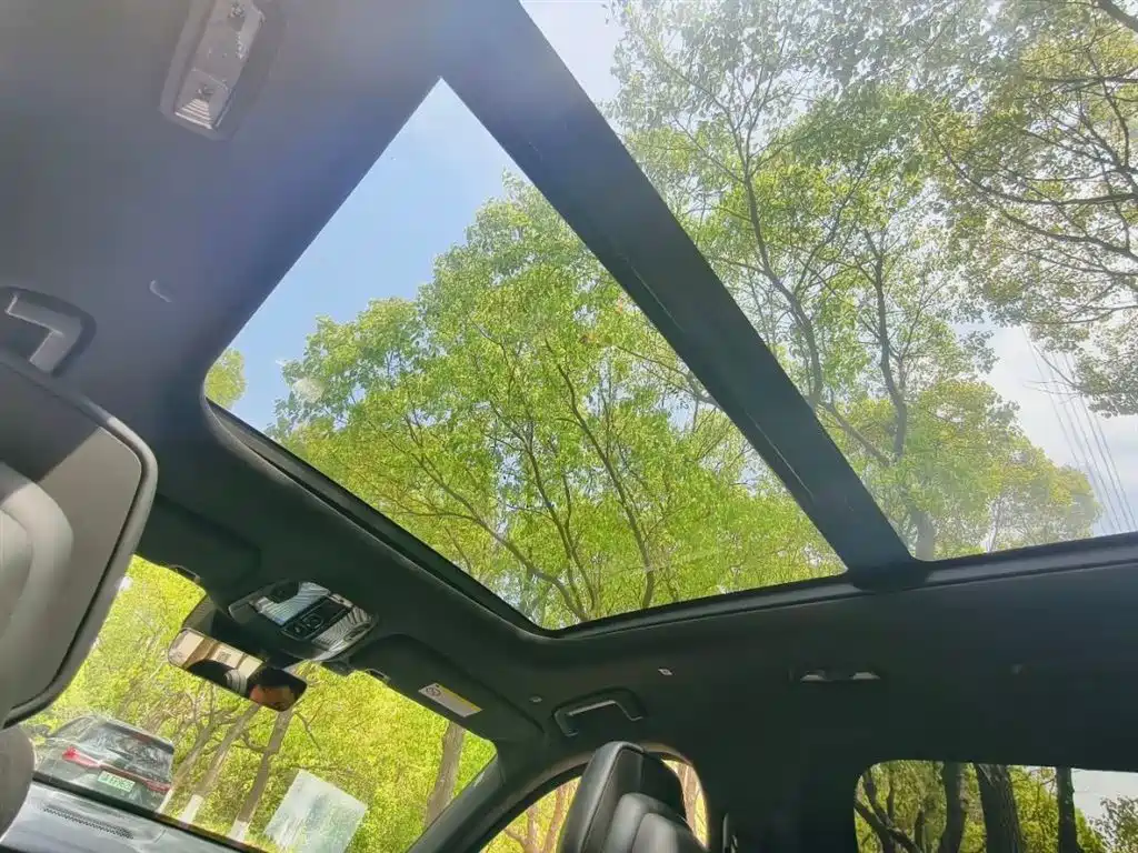 Lynk & Co 09 EM-P 2021 2.0T PHEV Halo 6-seater фото 12
