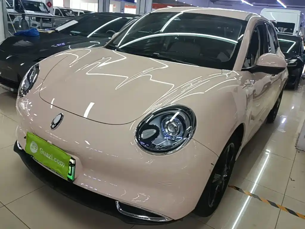 Ora Good Cat 2024 401km Luxury