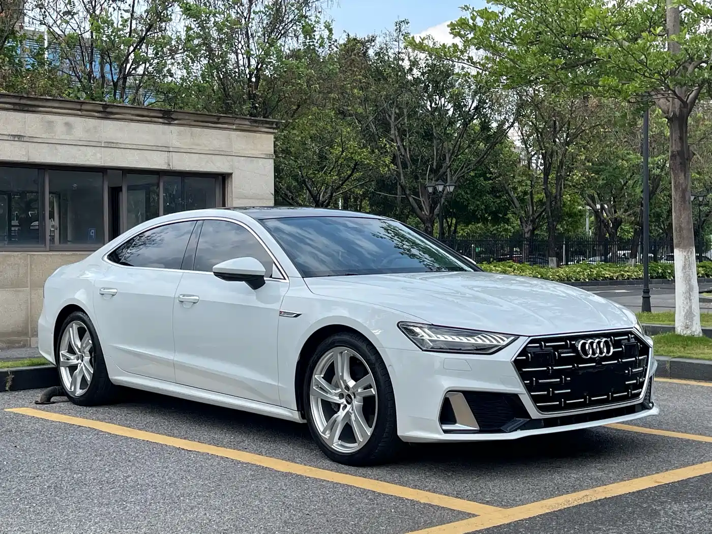 Audi A7L 2022 45 TFSI quattro S-line Paladin фото 3