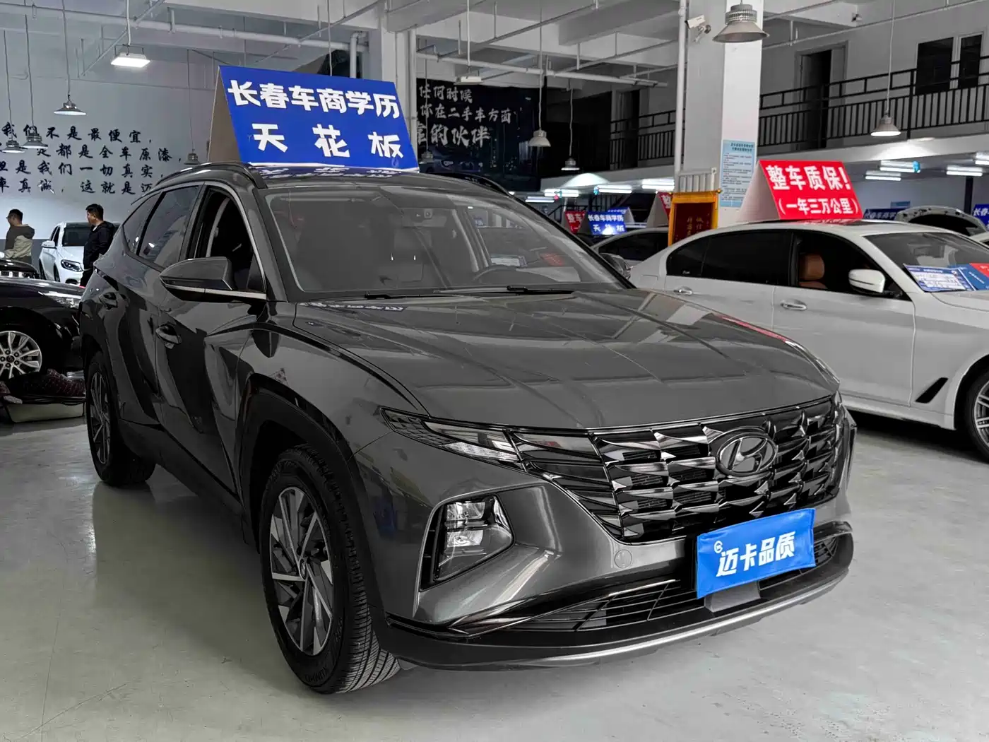 Hyundai Tucson 2023 Tucson L 1.5T Automatic 2WD GLX Elite Edition фото 3