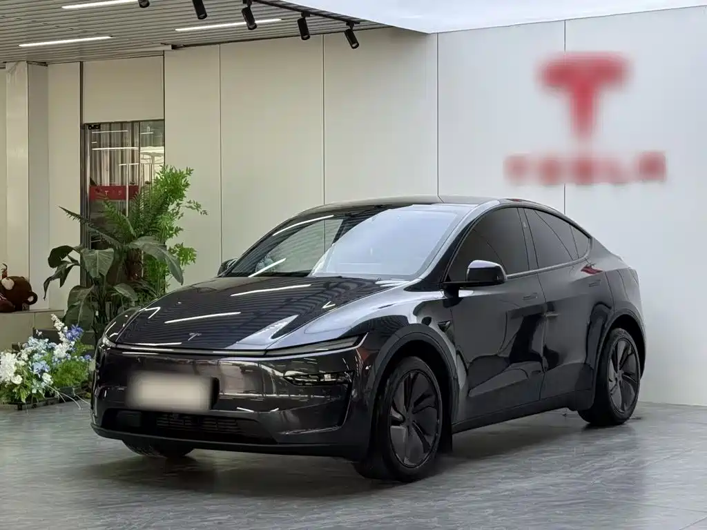 Tesla Model Y 2025 Rear-Wheel Drive