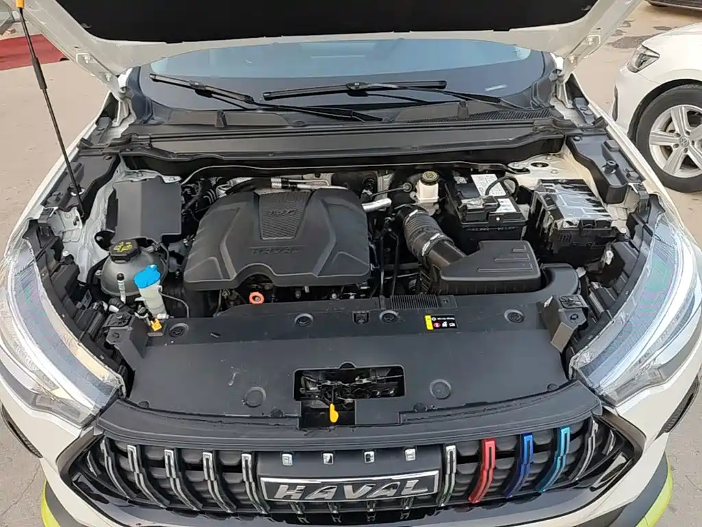 Haval Chitu 2022 2022 Power Edition 1.5T Purple Copper Rabbit