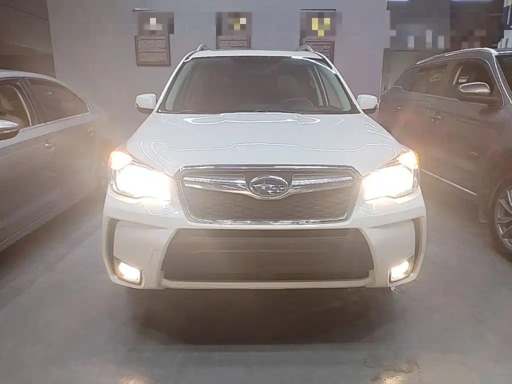 Subaru Forester 2015 2.0i Special Commemorative Edition фото 3