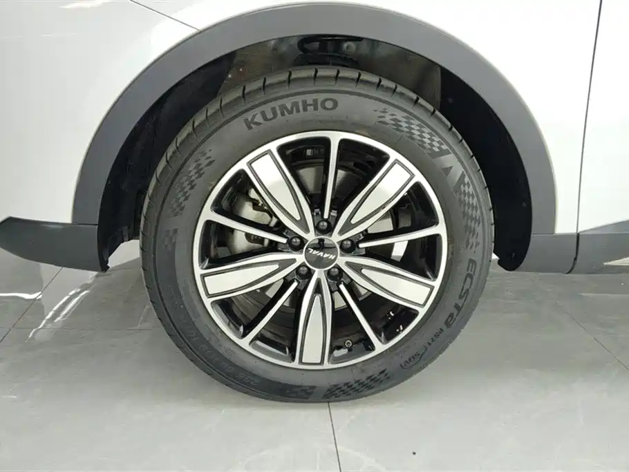 Haval H6 2023 National Trend Edition 1.5T Automatic Champion фото 6