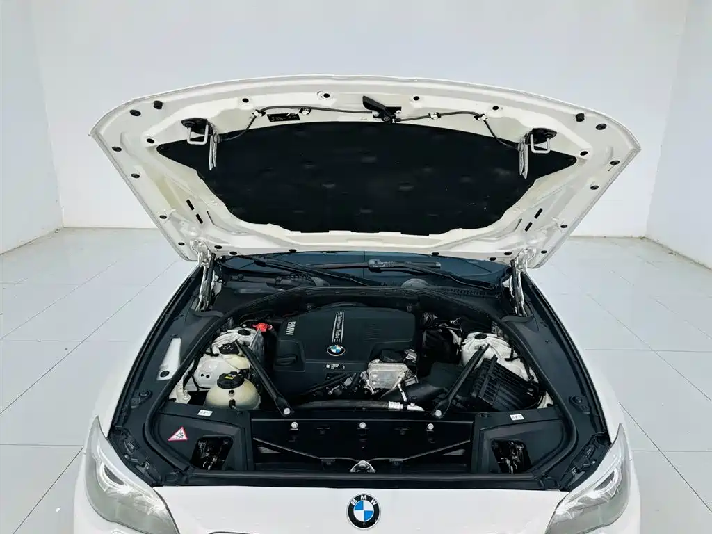 BMW 5 Series 2014 520Li Elegance фото 25