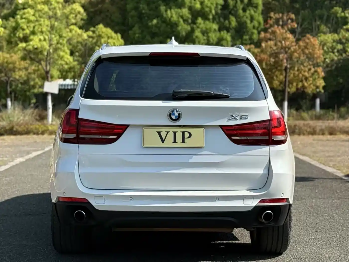 BMW X5 (Import) 2014 xDrive35i Luxury фото 5