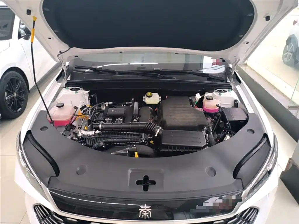 BYD Qin PLUS 2025 DM-i Smart Drive 55KM Leader фото 20