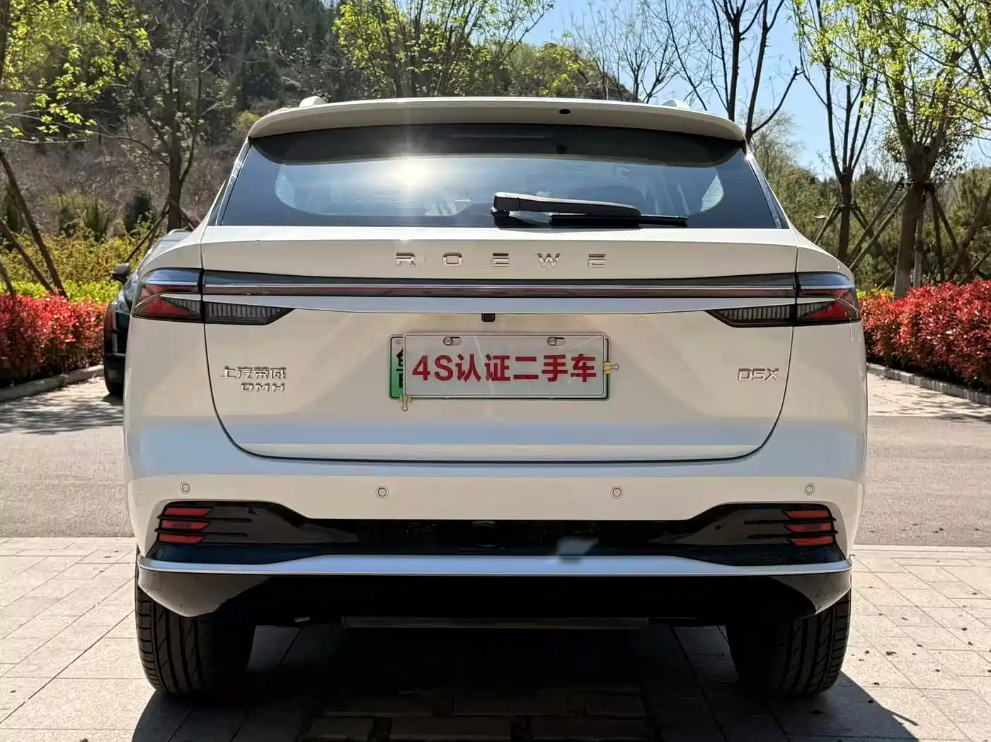 ROEWE D5X DMH