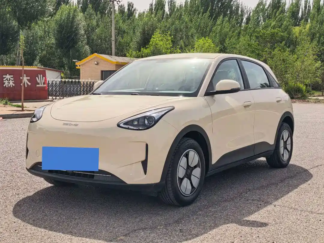 Geely Galaxy Starry Wish 2025 310km Youth Edition
