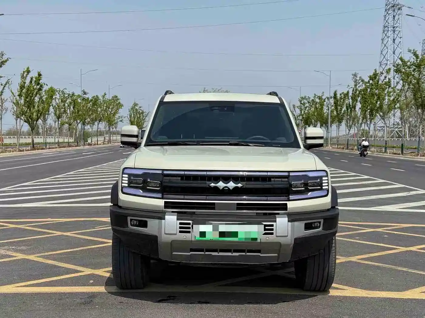 FANG CHENG BAO LEOPARD 5