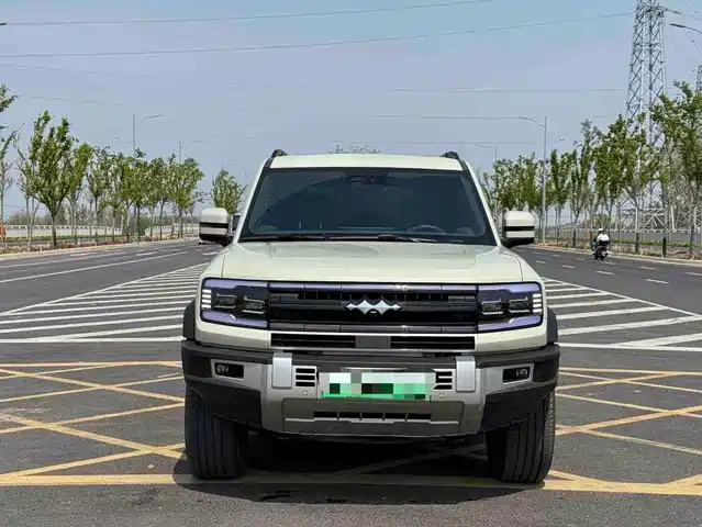 fang-cheng-bao leopard-5