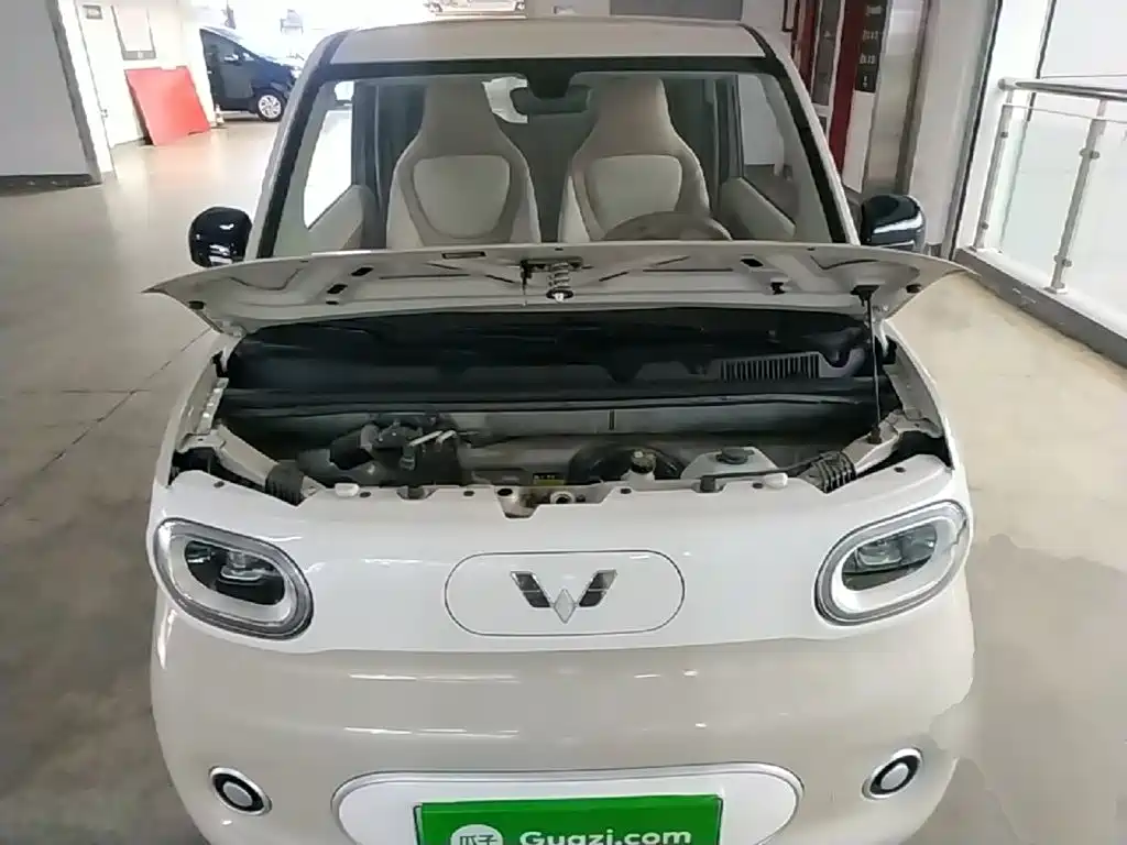 Фото 20 - Wuling Motors Hongguang MINIEV