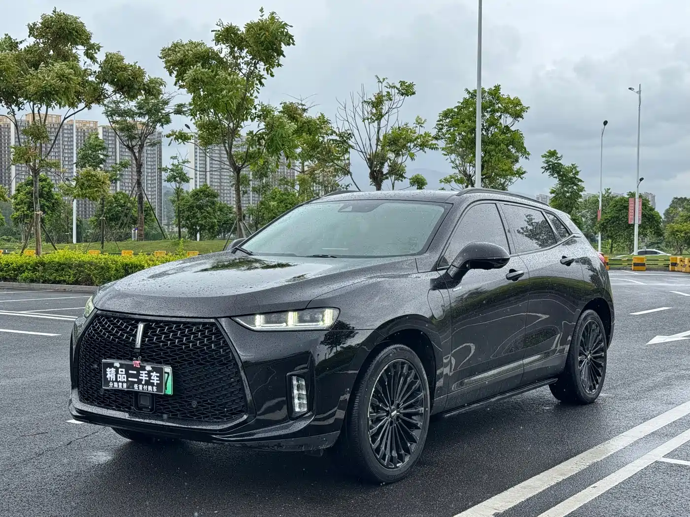 WEY P8 2018 2018 2.0T Flagship Model