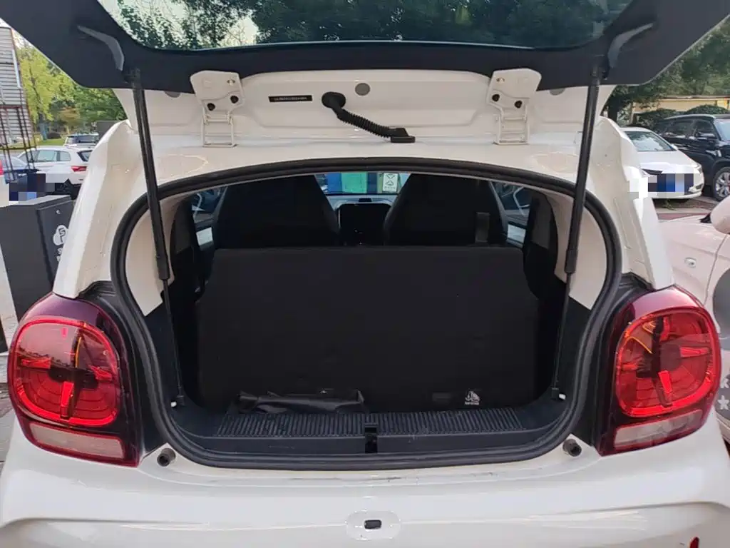 Roewe Clever 2023 2022 311km Vitality Bobo Edition