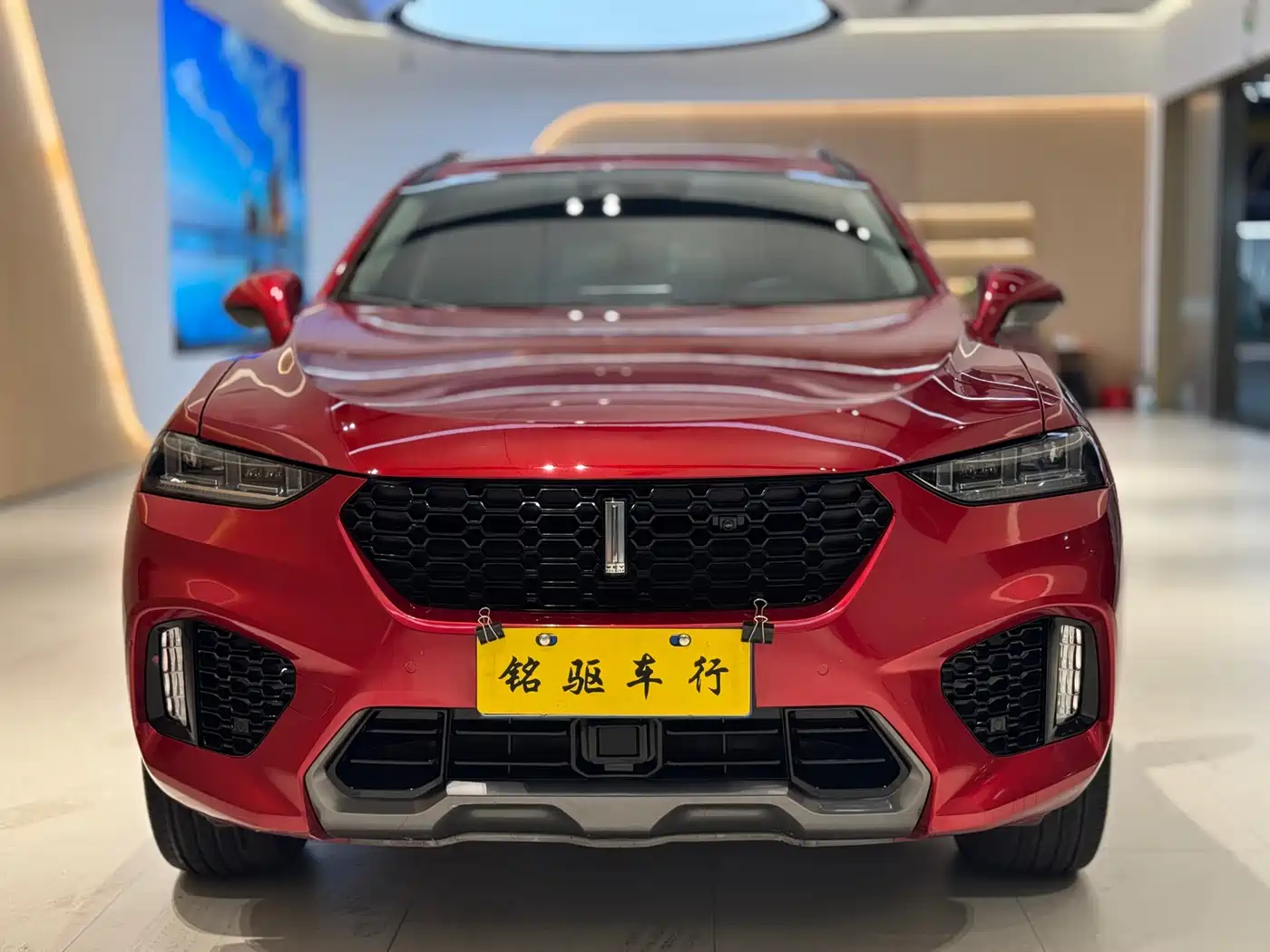 WEI PAI WEI BRAND VV7