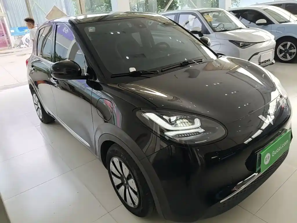 Wuling Motors Wuling Bingo 2023 2023 333km Joyful Version