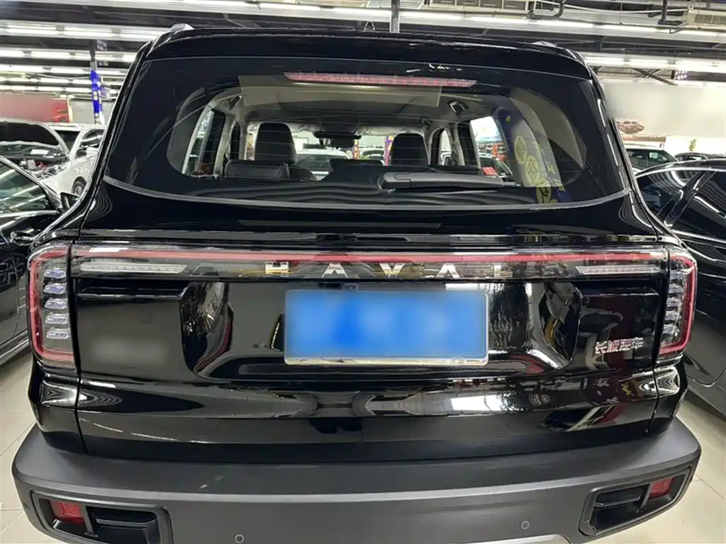 Haval Big Dog 2024 1.5T DCT Border Collie Edition фото 11