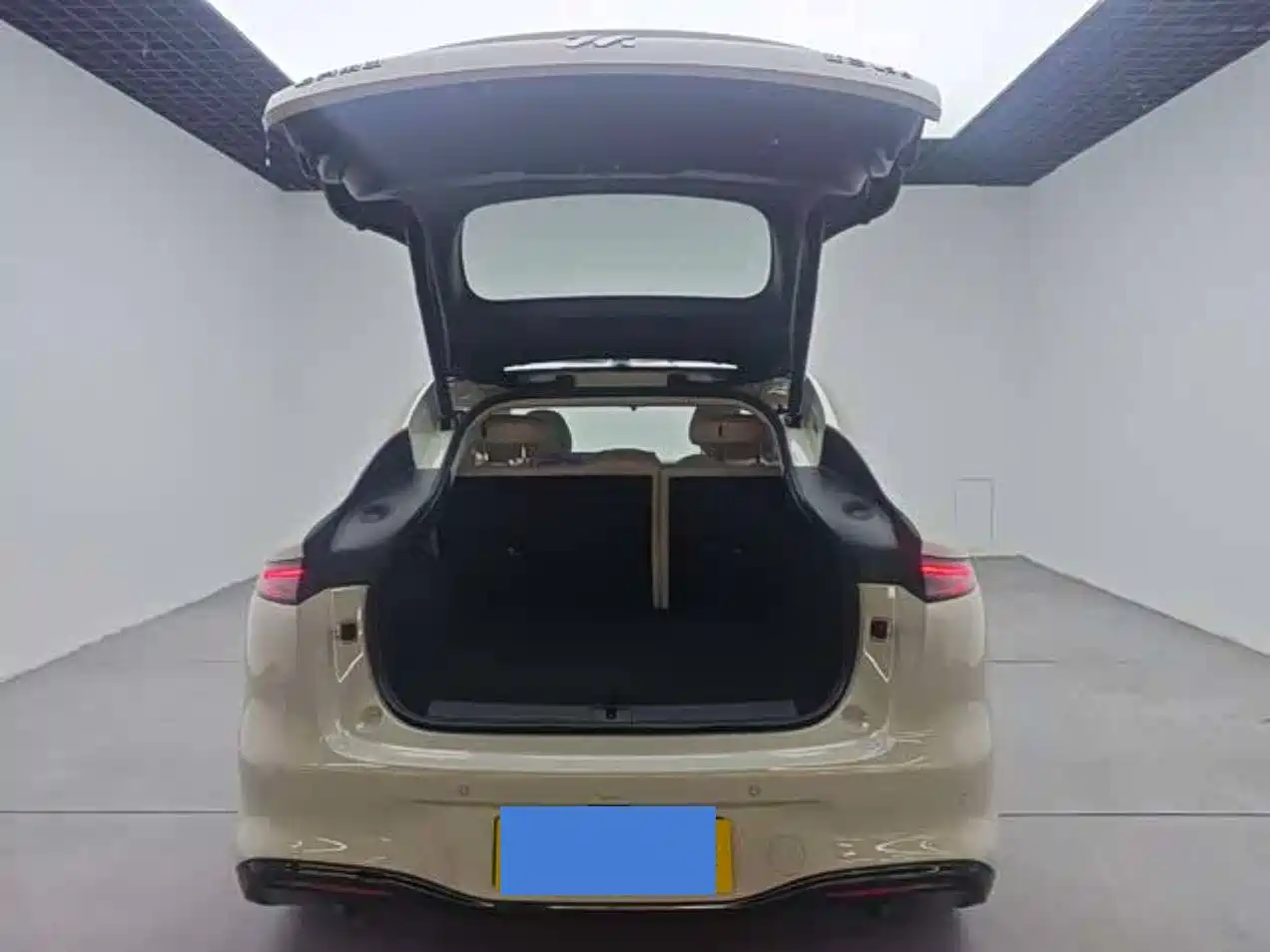 ZHIJI AUTOMOBILE ZHIJI LS6