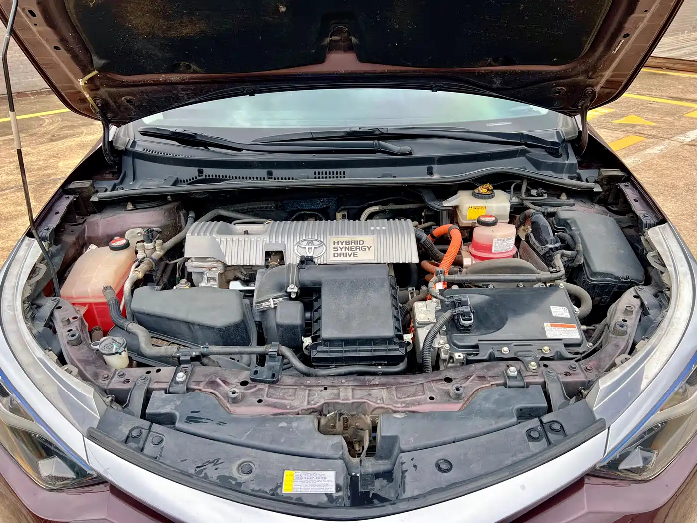 Toyota Levin 2016 Hybrid 1.8H V E-CVT Luxury Edition фото 14