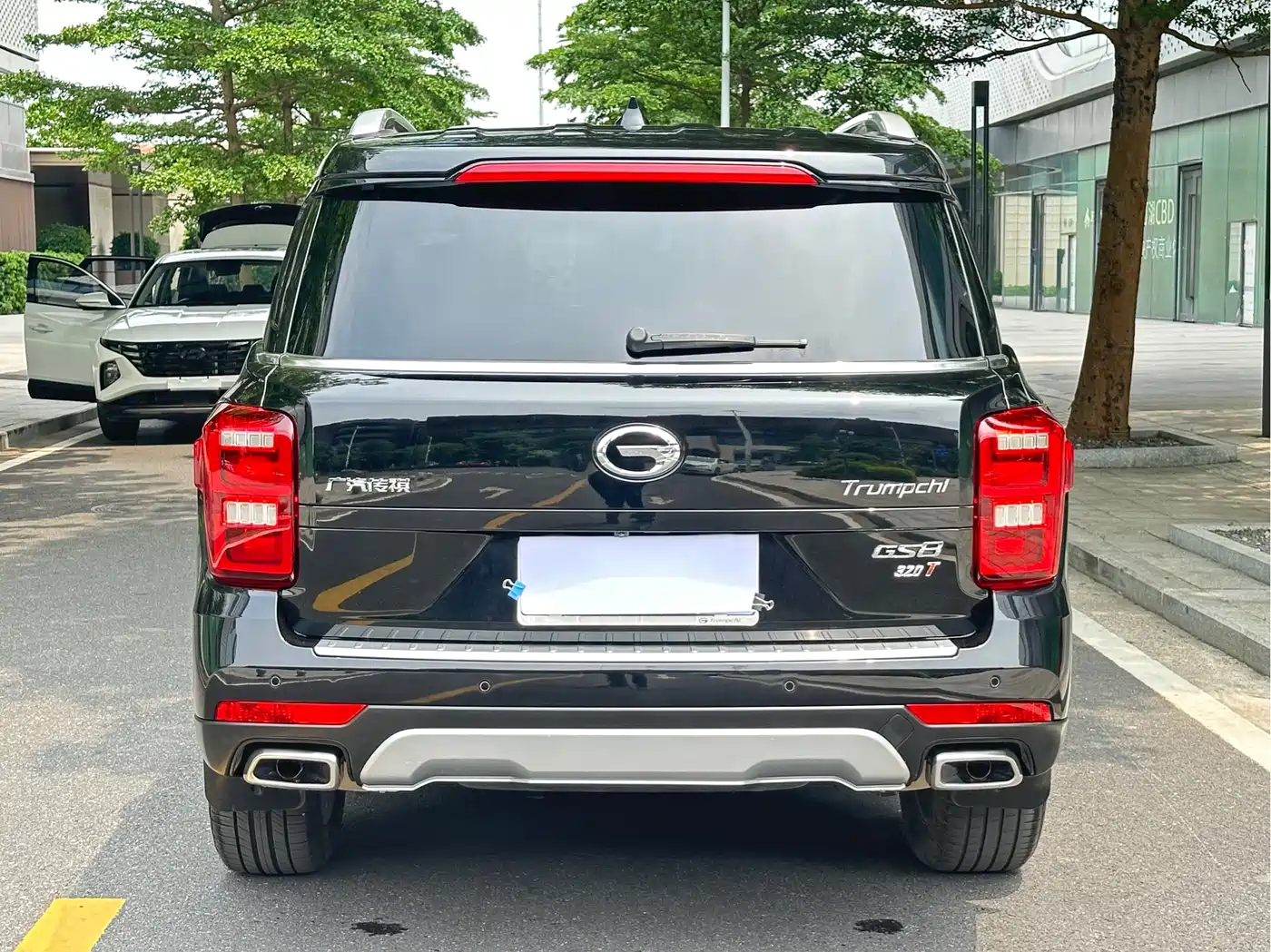 GAC Trumpchi Trumpchi GS8 2017 320T 2WD Luxury Smart Connect (7-seater) фото 20