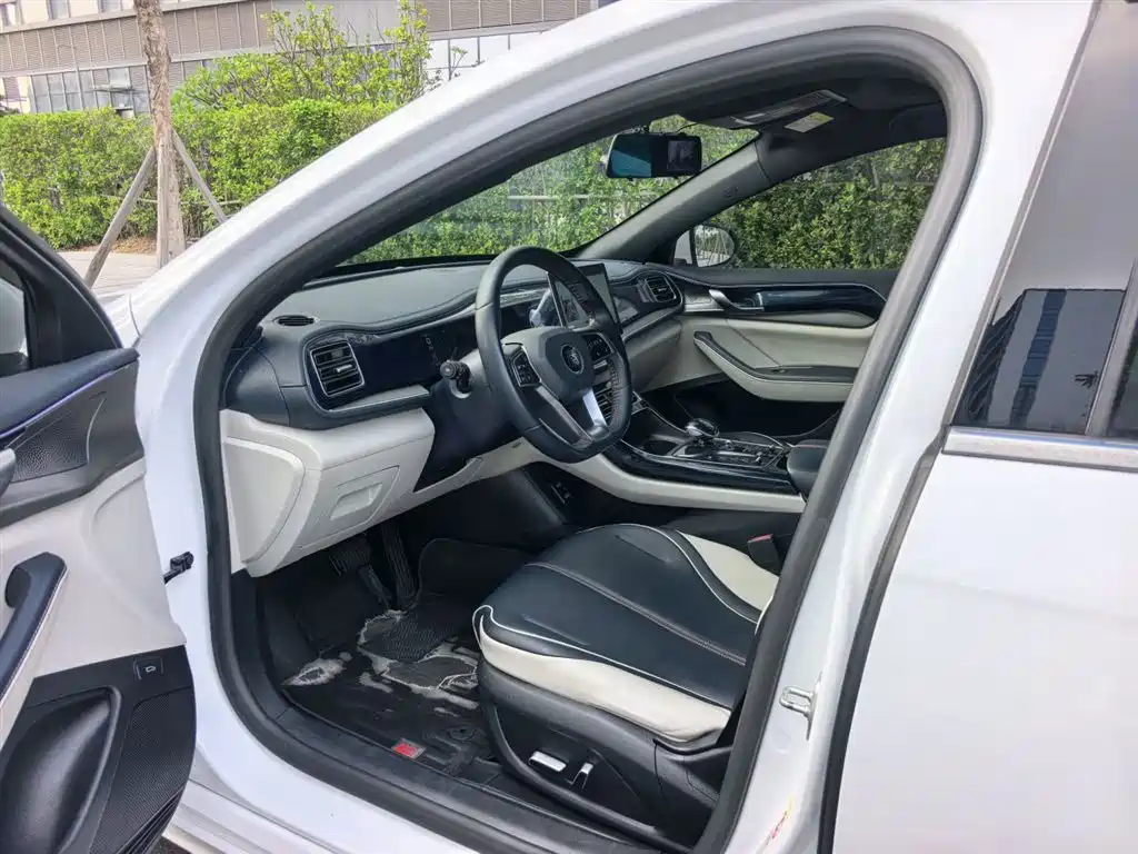 BYD Qin PLUS 2021 DM-i 55KM Flagship фото 14
