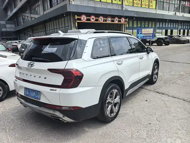 Hyundai Santa Fe 2020 380 TGDi Auto 2WD DLX Premium PLUS — фото 4