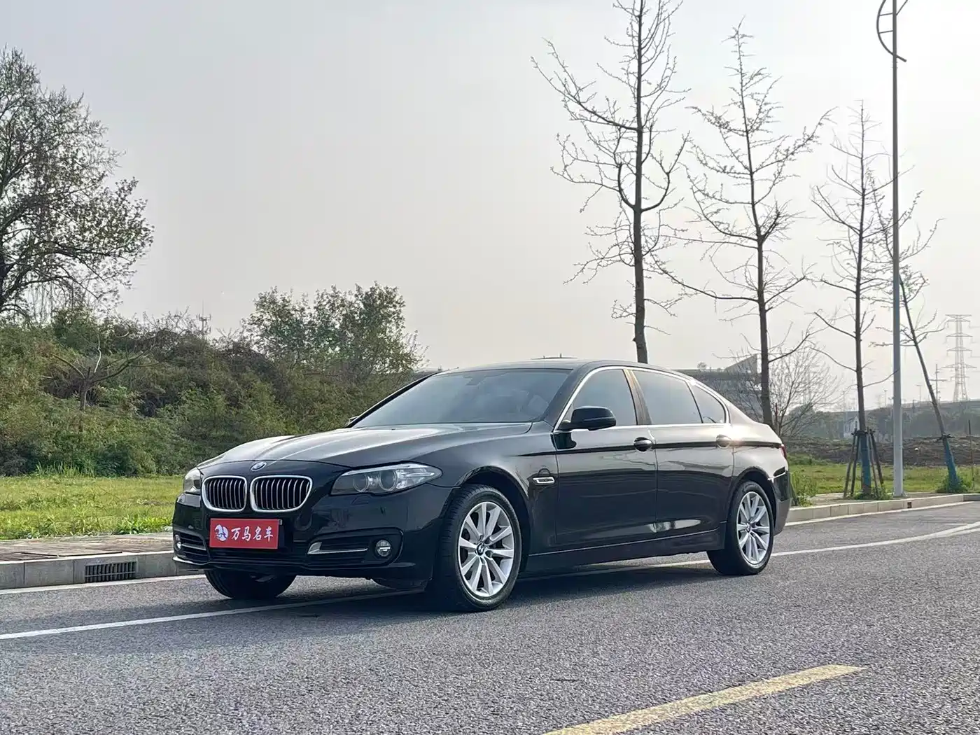 BMW 5 Series 2014 528Li Leading Edition