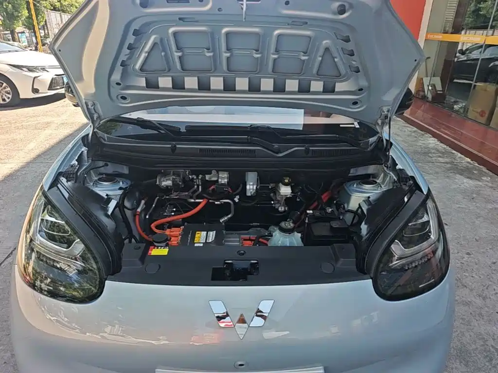 Wuling Motors Wuling Bingo 2026 2025 Model 333km Smart Premium