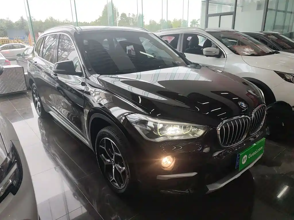 BMW X1 2019 xDrive20Li Premium Model фото 4