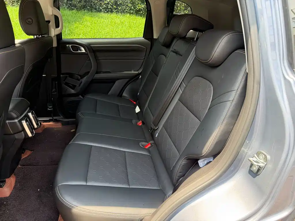 Haval Big Dog 2025 2024 2.0T DCT Chinese Rural Dog Edition