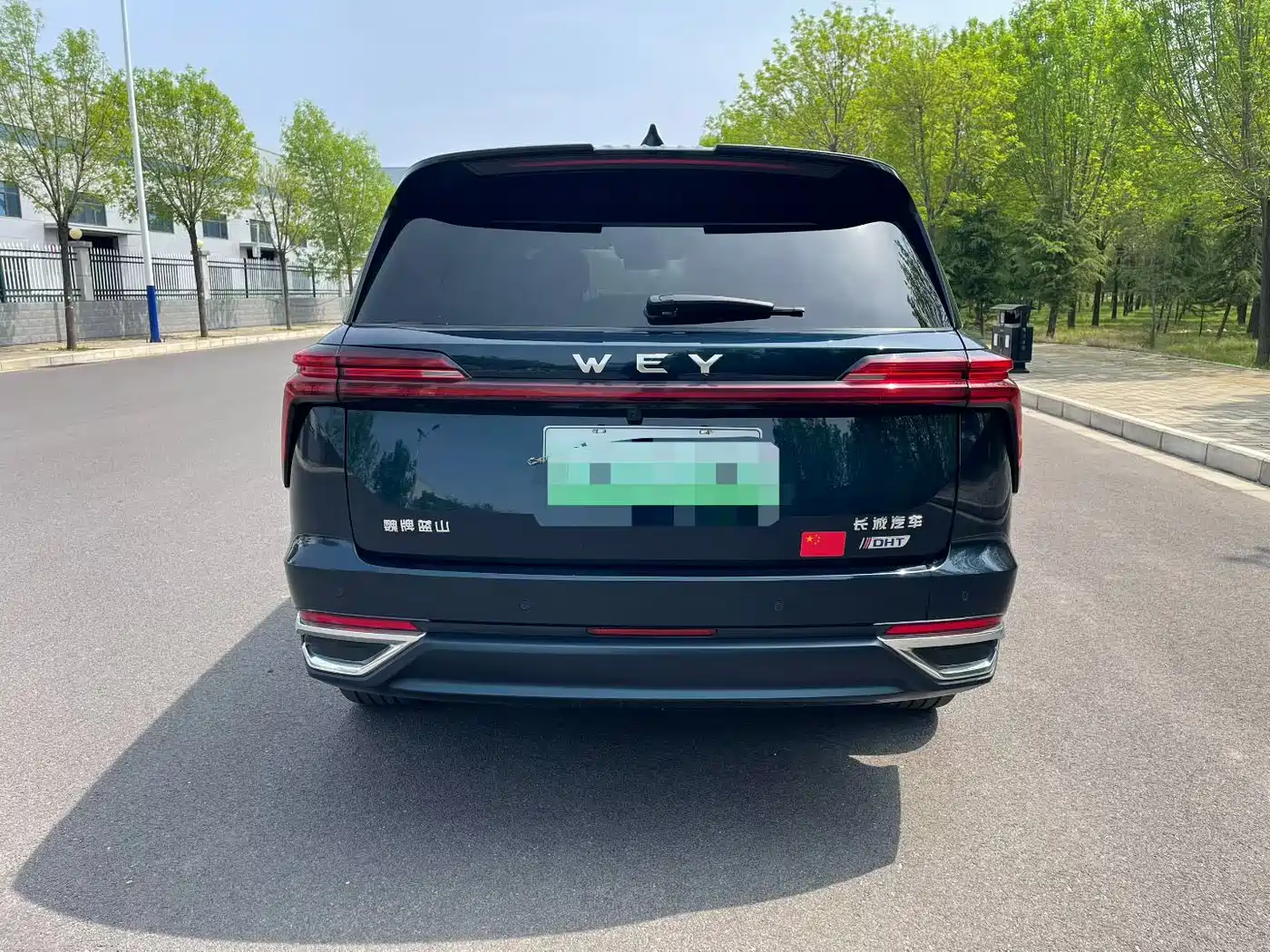 WEI PAI WEI BRAND BLUE MOUNTAIN