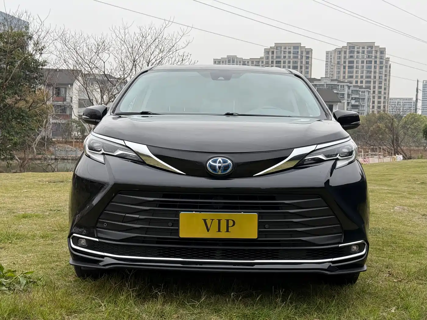 Toyota Sienna 2021 2.5L Hybrid Luxury Edition фото 2
