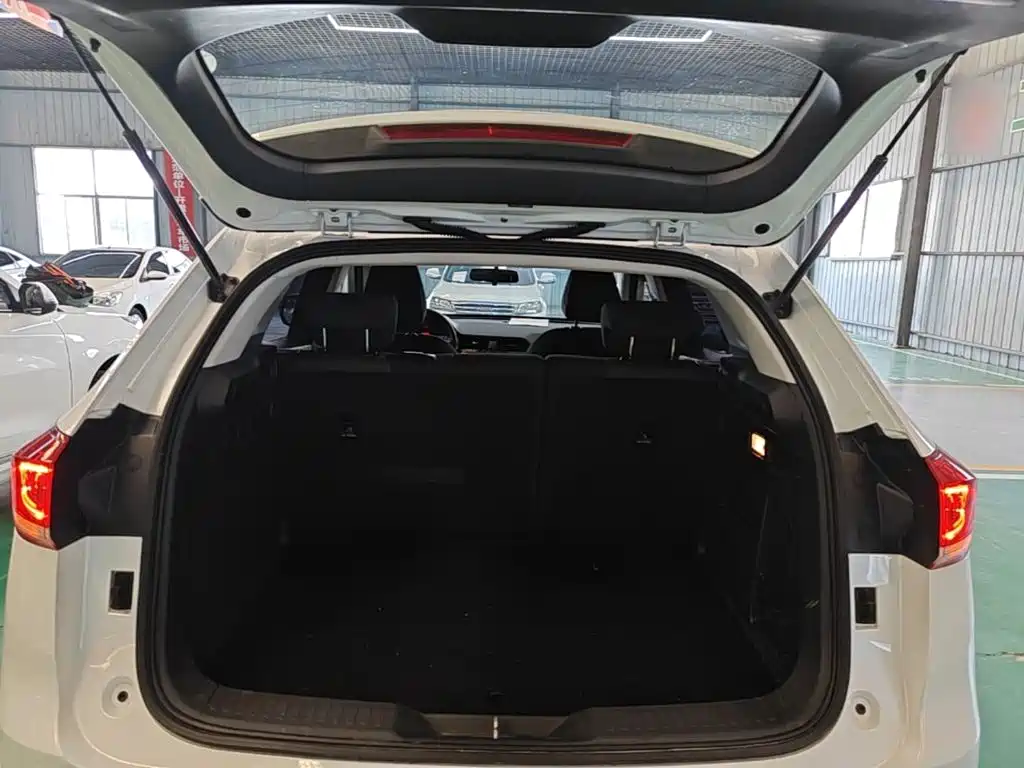 Haval H4 2019 2019 1.5GDIT DCT Elite Smart Connection China VI