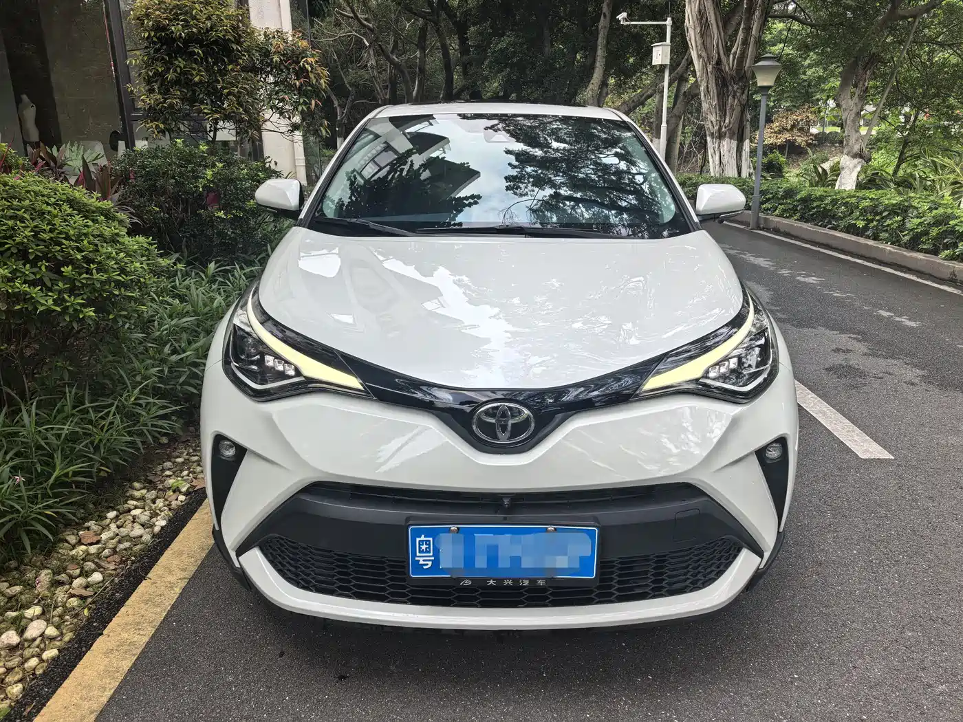 Toyota C-HR 2021 2.0L Luxury Edition фото 2