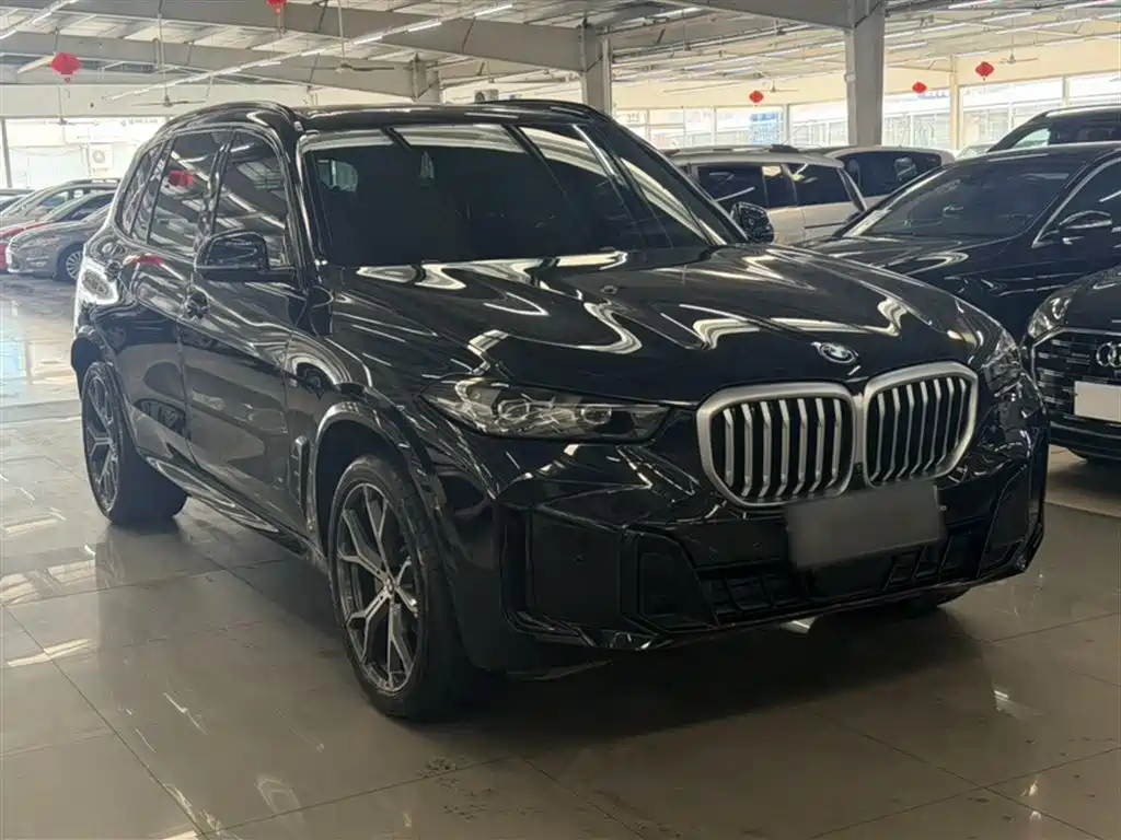 BMW X5 2023 xDrive 30Li Premium M Sport Black Night Package фото 12