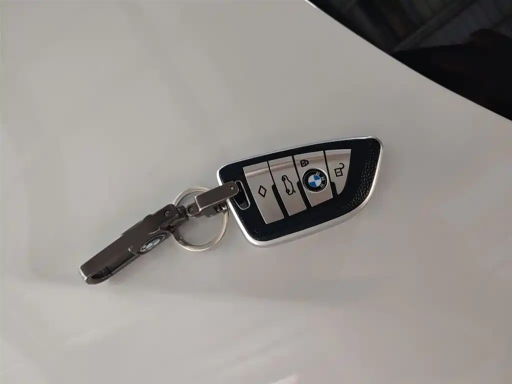BMW X1 New Energy 2019 xDrive25Le Range Upgrade Edition фото 9