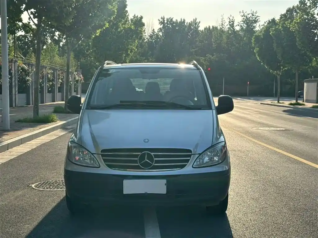 Mercedes-Benz Vito 2010 2.5L Business Edition фото 2