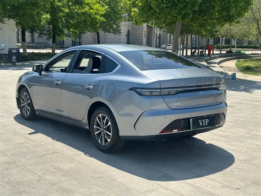 BYD Destroyer 05 2024 Glory Edition DM-i 55KM Luxury фото 5