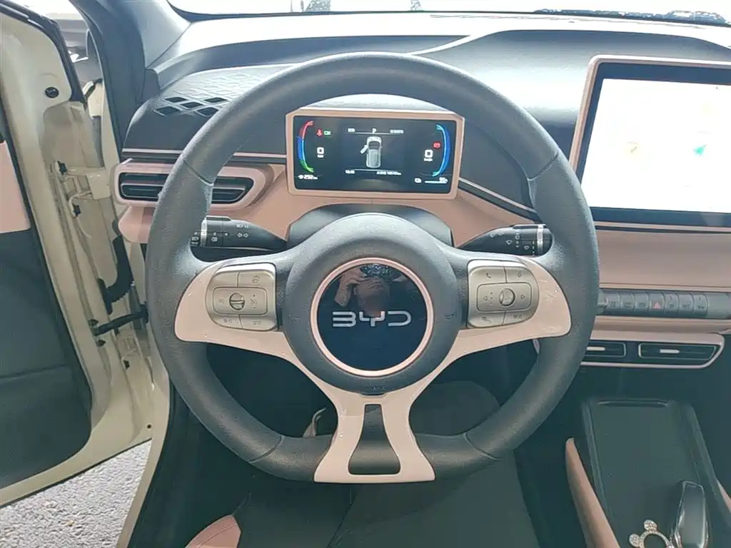 BYD Seagull 2024 Glory Edition 305km Vitality Edition фото 11