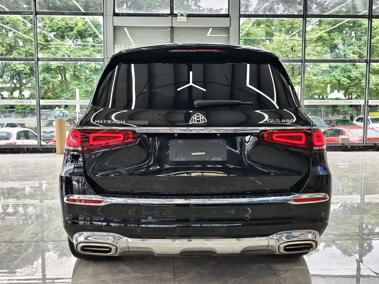 Mercedes-Benz Maybach GLS 2022 GLS 480 4MATIC фото 26