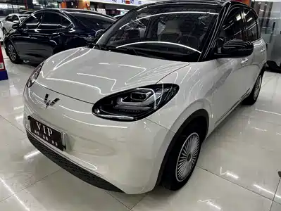 Wuling Bingo