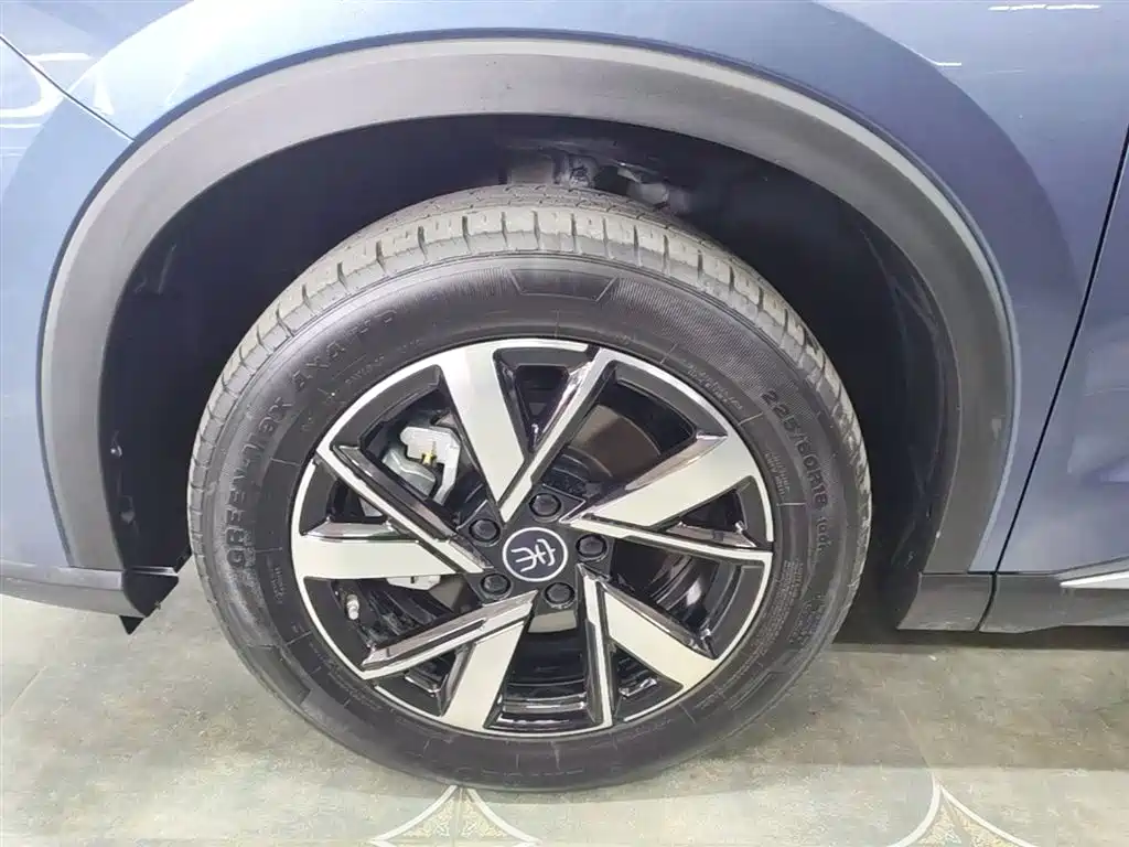 BYD Song Pro New Energy 2023 Champion Edition DM-i 71KM Leading Type фото 23