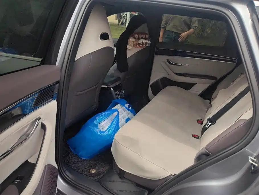 BYD SONGJIANG NEW ENERGY