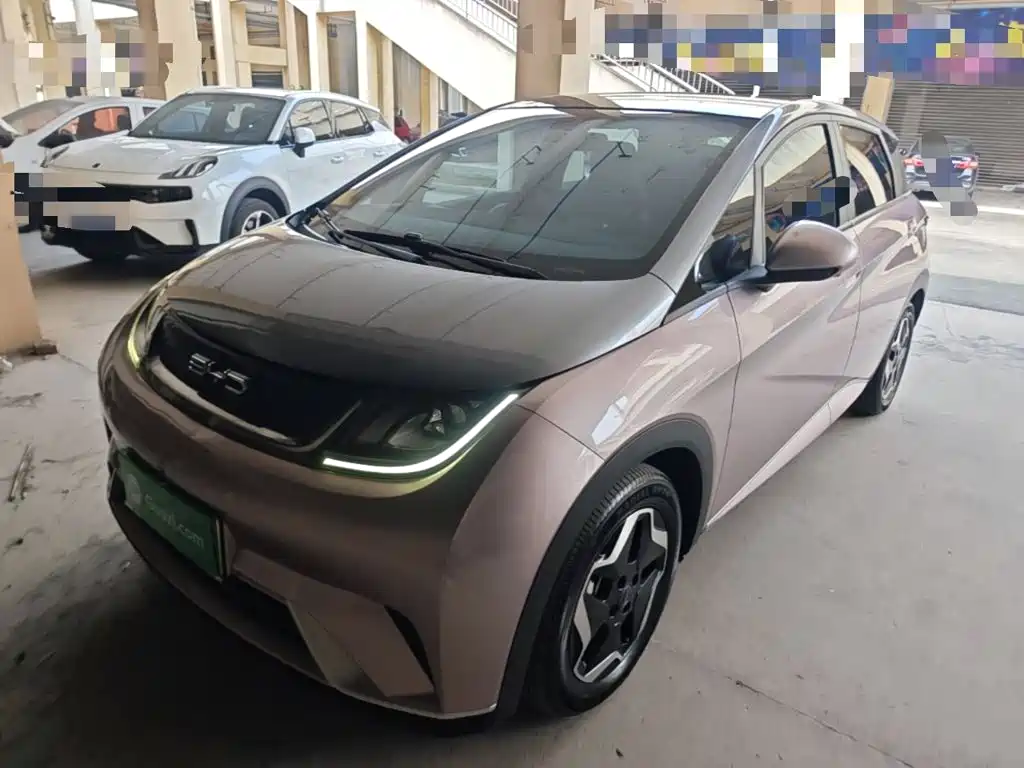 BYD Dolphin 2021