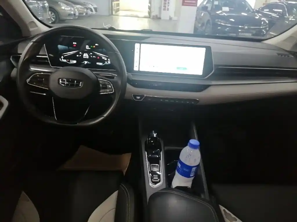 Фото 6 - Geely Binrui