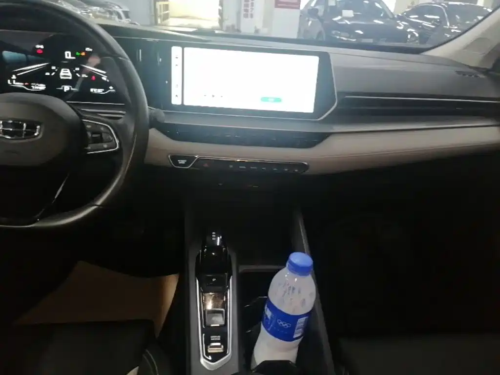 Фото 9 - Geely Binrui
