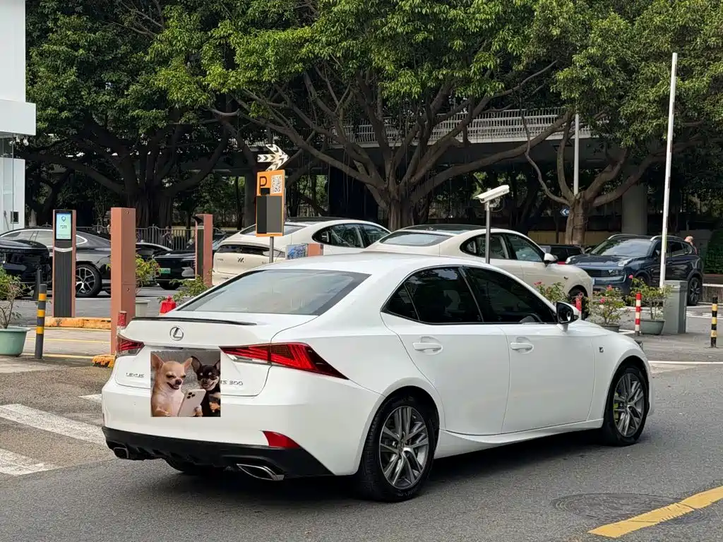 Lexus IS 2019 2017 300 F SPORT
